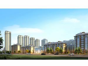 金第陽光諾亞 金第陽光諾亞