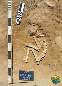 耶拉孔波利斯遺址 耶拉孔波利斯遺址