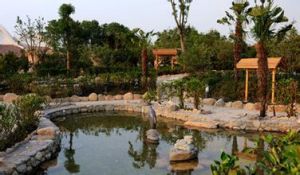 東根溫泉 東根溫泉