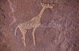 長頸鹿岩刻 長頸鹿岩刻