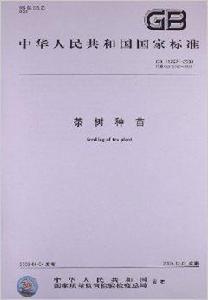 茶樹種苗 茶樹種苗