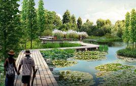 合肥濕地公園 合肥濕地公園