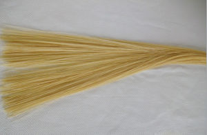 醫用羊腸線 醫用羊腸線