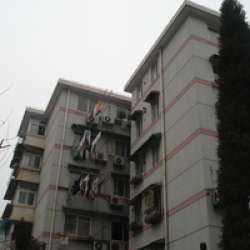 大寧新村 大寧新村