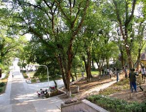 江銅集團技工學校 江銅集團技工學校