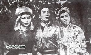 《桃花俠夜探毒龍潭》