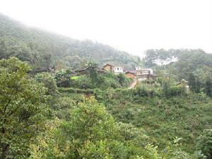 紅兵自然村全貌<a name="ref_[1]"></a>