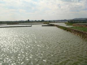 （圖）馬房風光