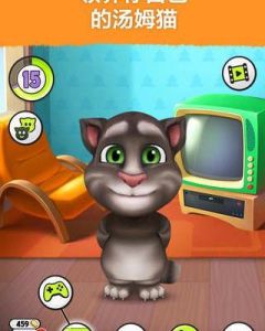 我的湯姆貓 我的湯姆貓