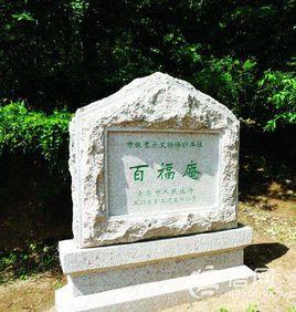 嶗山派古琴 嶗山派古琴