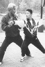 太極推手 太極推手