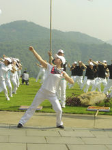 第八套廣播體操