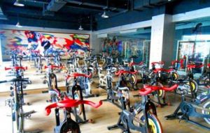 松鼠健身俱樂部(朝陽龍座店) 松鼠健身俱樂部(朝陽龍座店)