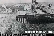 庫爾斯克戰役時“帝國”師的“虎”式坦克