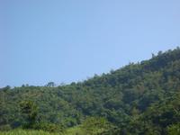 糖廠自然村 糖廠自然村