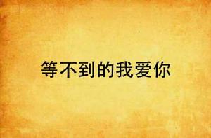 等不到的我愛你