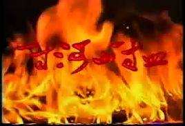 一寸山河一寸血[台灣地區陳君天執導紀錄片]