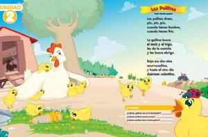 小雞農場 小雞農場