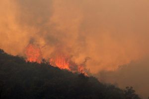 3·18雲南玉溪森林火災 3·18雲南玉溪森林火災