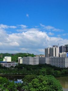 重慶師範大學涉外商貿學院 重慶師範大學涉外商貿學院