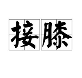 接膝 接膝