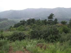 蘆家莊村 蘆家莊村