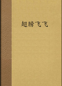 翅膀飛飛 翅膀飛飛