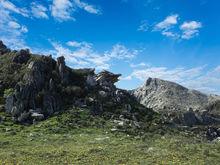 紅原俄么塘花海景區-
