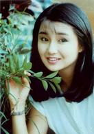 《警察故事》[1985年成龍主演電影系列]