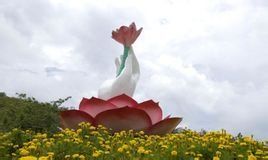 見性成佛 見性成佛