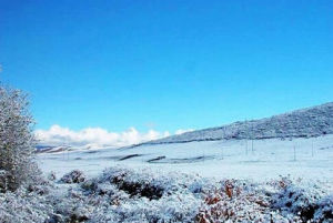 金平分水嶺自然保護區 金平分水嶺自然保護區