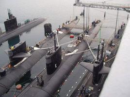 美國大西洋艦隊 美國大西洋艦隊