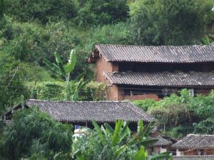 竜樹林村 竜樹林村