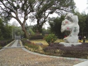 石灰陳家村 石灰陳家村