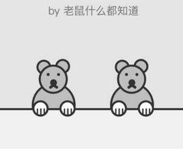 老鼠什麼都知道 老鼠什麼都知道