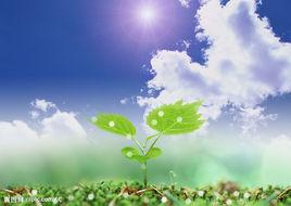 猝死急救 猝死急救