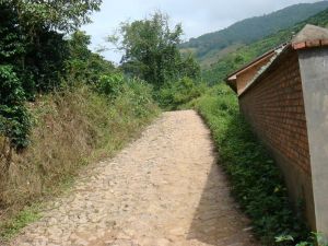 大地咖啡場一隊自然村 大地咖啡場一隊自然村