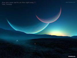 轉嫁與歸屬 轉嫁與歸屬