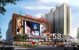 智偉龍集團 智偉龍集團