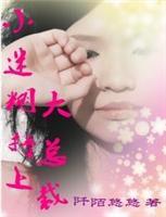 小迷糊撞上大總裁 小迷糊撞上大總裁