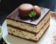 朱古力香草慕斯 朱古力香草慕斯