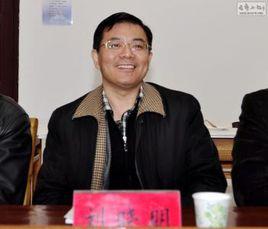 陳智[電子科技大學教授]