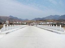 大安鎮[陝西省寧強縣大安鎮]