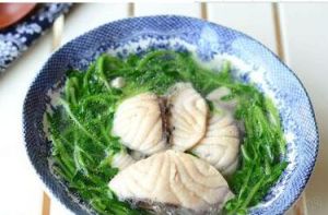 豆苗豬肚湯 豆苗豬肚湯