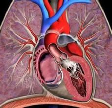 原發性肺動脈高壓