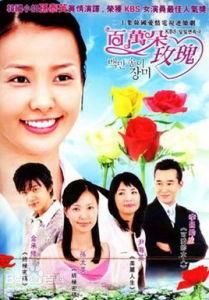 百萬朵玫瑰 百萬朵玫瑰