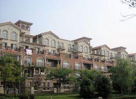 加州玫瑰園 加州玫瑰園