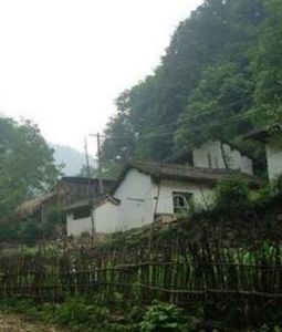 大溝口村 大溝口村