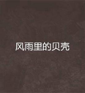 風雨里的貝殼 風雨里的貝殼