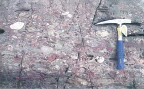 大塘坡組 大塘坡組